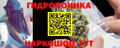 apvp Славгород