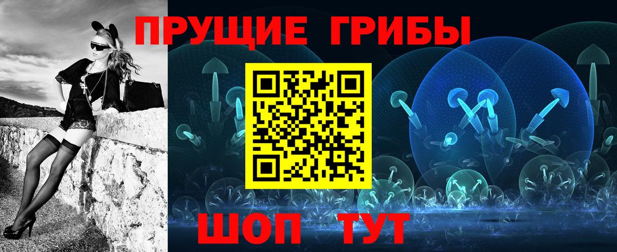 Псилоцибиновые грибы GOLDEN TEACHER  Вход с VPN  Отрадное  Галлюциногенные грибы Magic Shrooms 