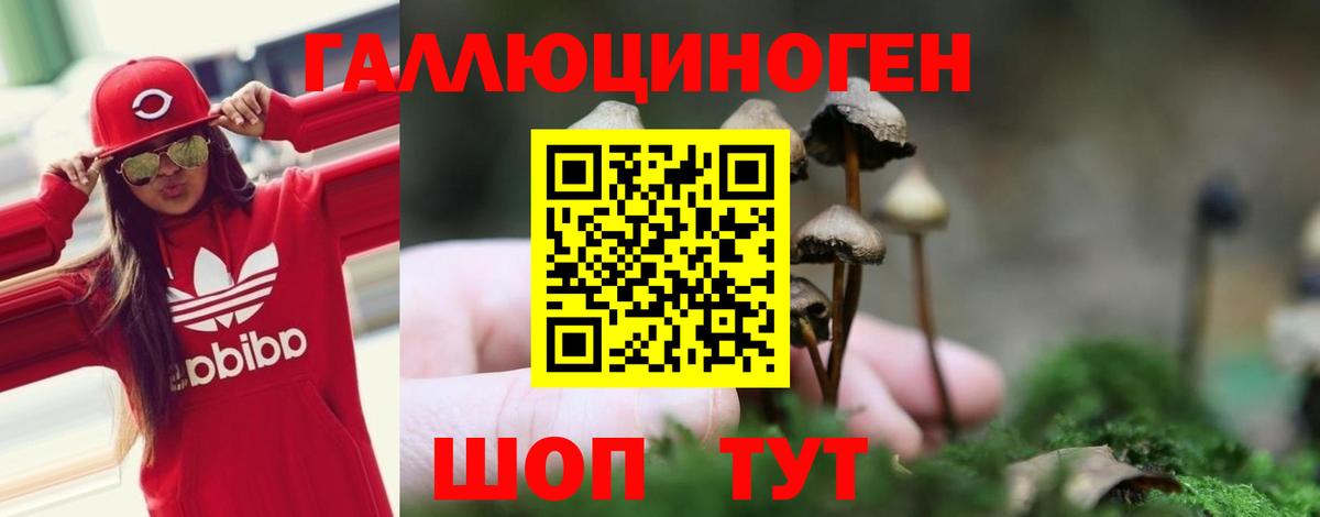 Псилоцибиновые грибы Magic Shrooms Отрадное