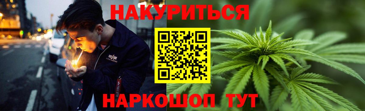 Канабис сатива Отрадное